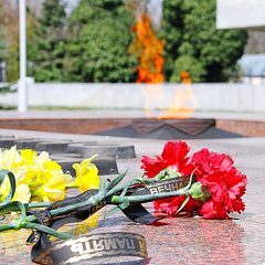 Поездка к Вечному огню