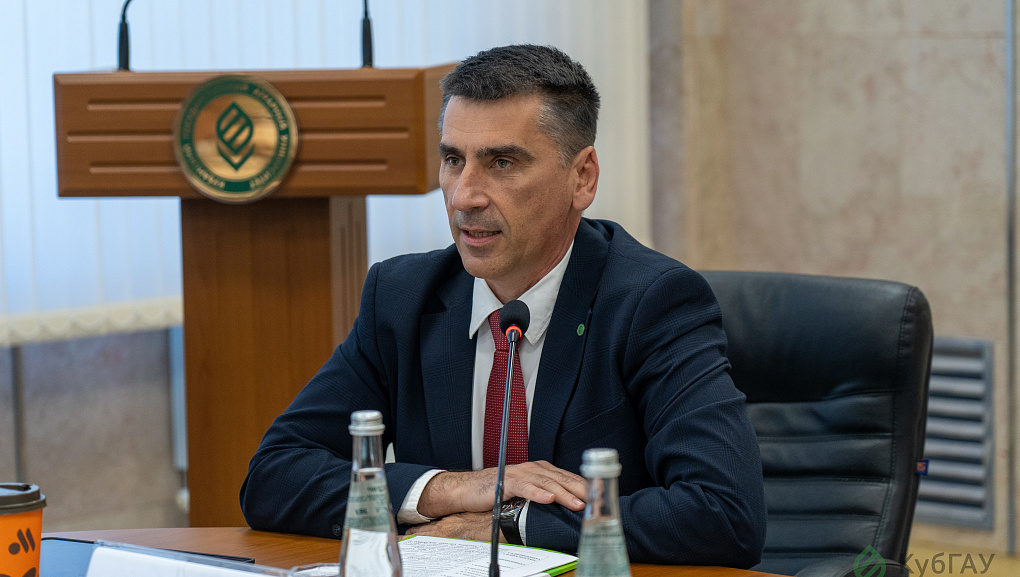 Шаг навстречу