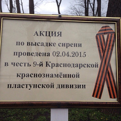 Краевая акция «Главная сирень Победы»