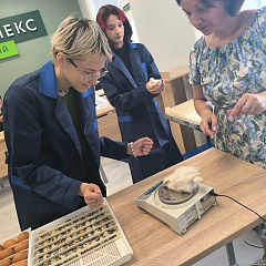 Перья расправлены: птицеводы получили крылья мастерства