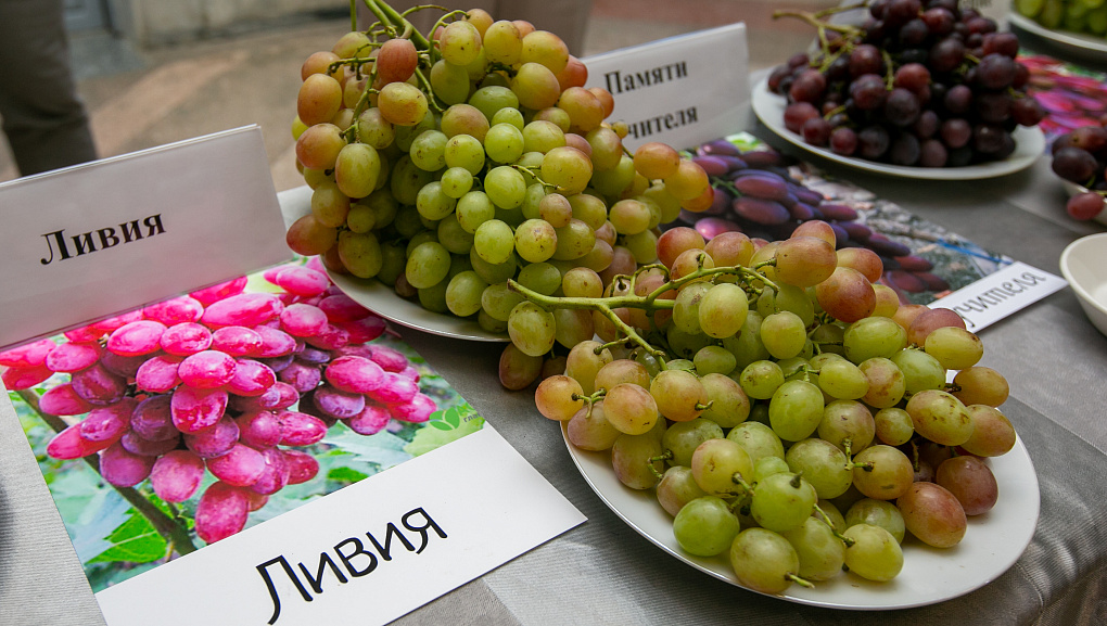 Достижения виноградарей 