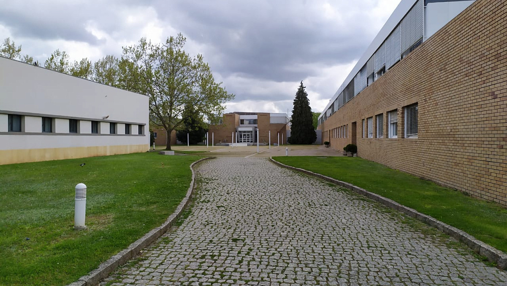 Students of Kuban SAU study remotely in Bragança