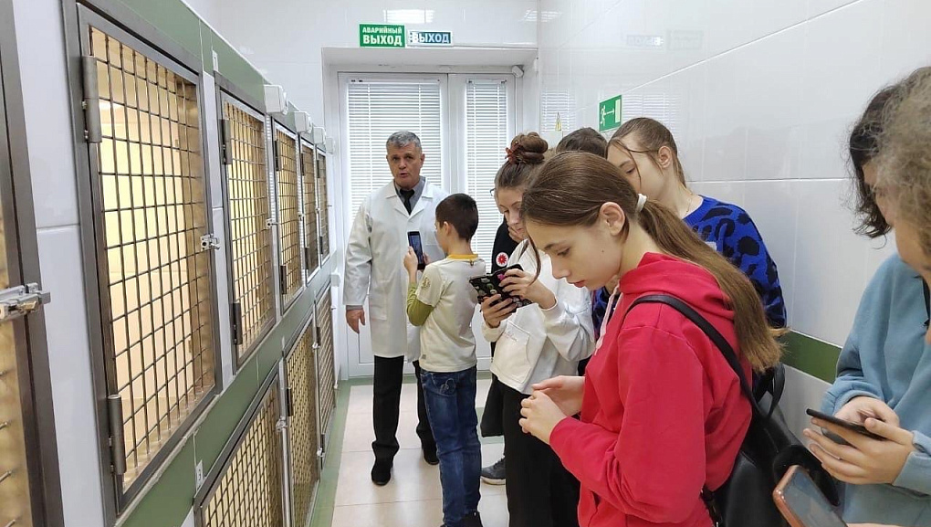 Школьники в гостях у ветеринарного факультета