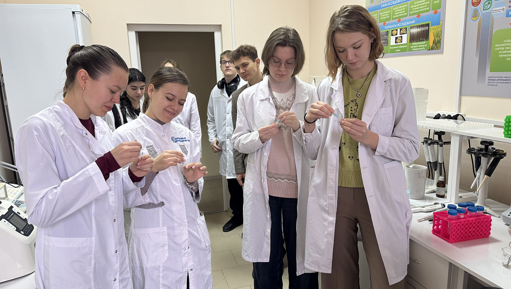 От теории к практике: мастер-класс в ведущем научном центре позволил студентам КубГАУ провести самостоятельные исследования