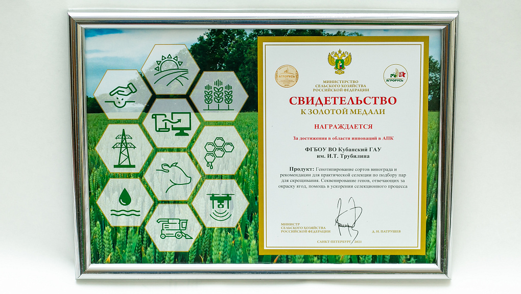 Агропромышленная выставка–ярмарка АГРОРУСЬ