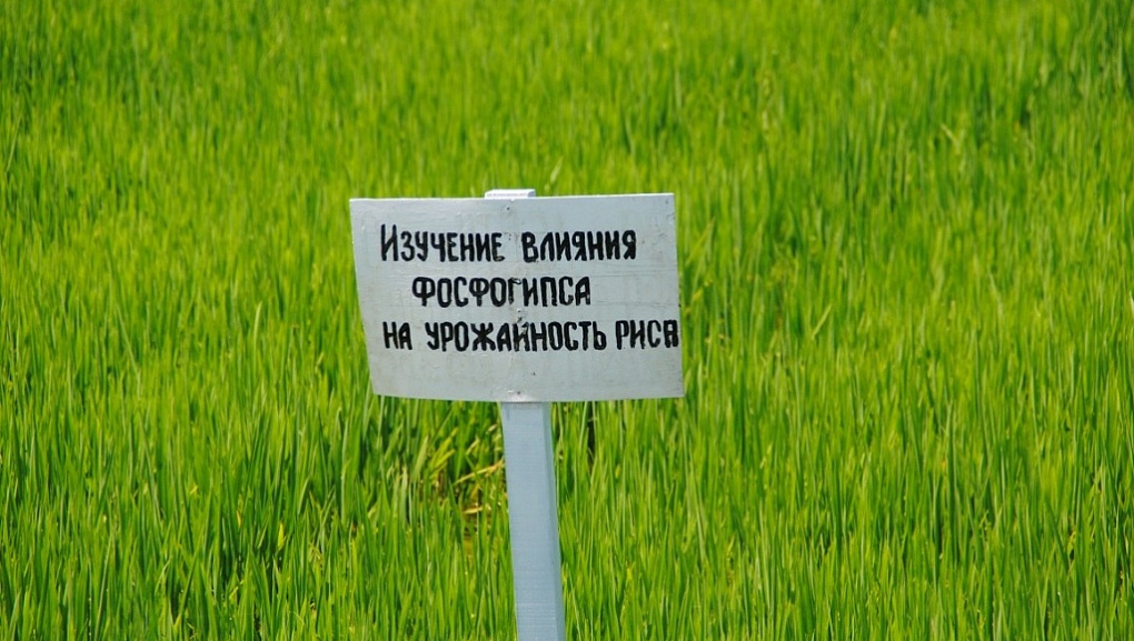 Всероссийская конференция по фосфогипсу