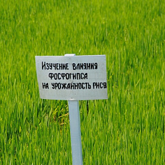 Всероссийская конференция по фосфогипсу