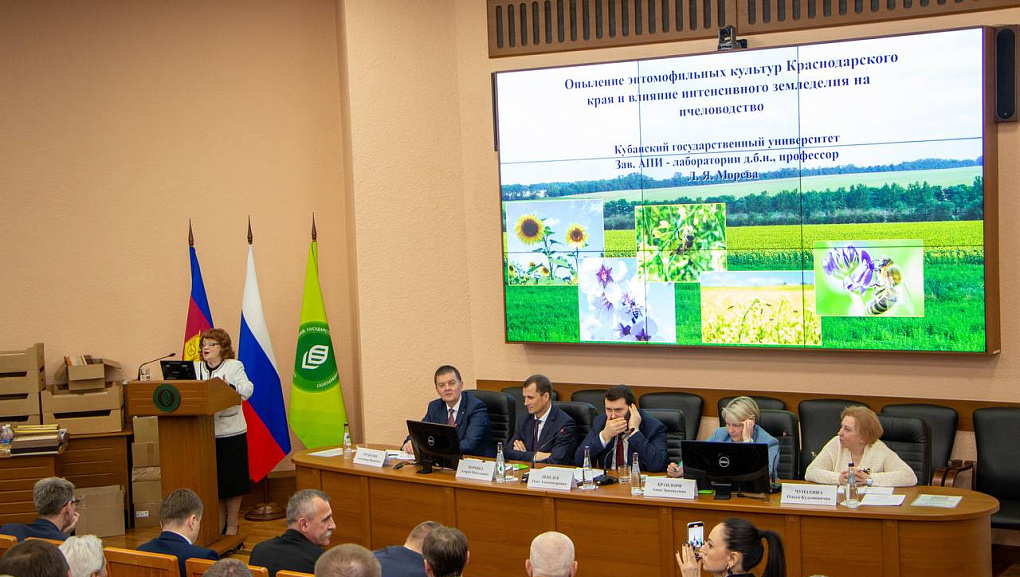 Развитие законодательного регулирования пчеловодства в РФ