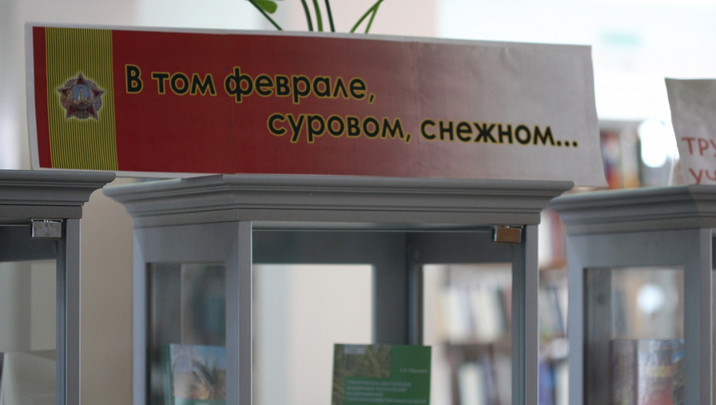 В том феврале суровом, снежном