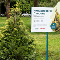 В Ботсаду КубГАУ высадили деревья