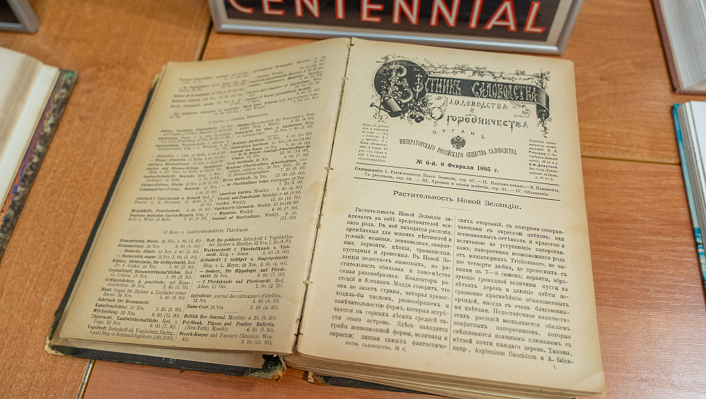 «Три сестры Великого Океана»