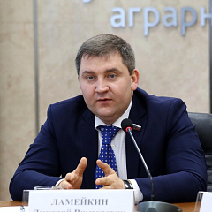 Дмитрий Ламейкин: «Главный мотиватор – вера в то, что вы делаете что-то нужное и в то, что у вас все получится»