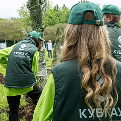 В Ботсаду КубГАУ высадили деревья