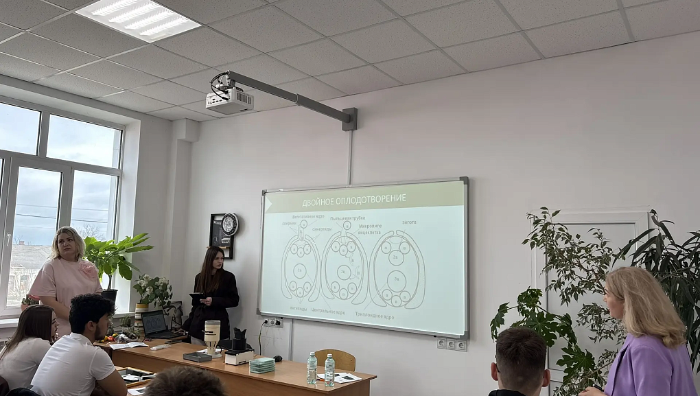 Практика и диалог