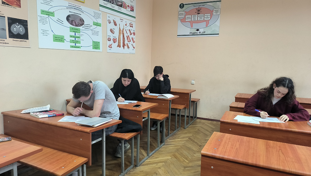  Олимпиада по русскому языку