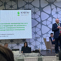 Овощеводство – стратегическая отрасль для Кубани и России