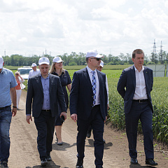 Плодотворное сотрудничество