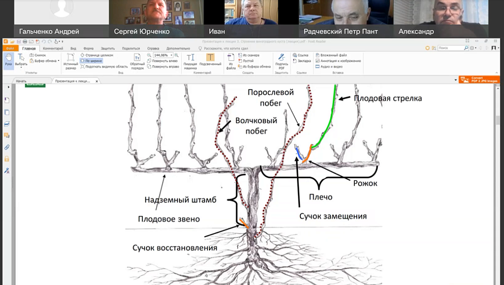 Программа обучения для виноградарей
